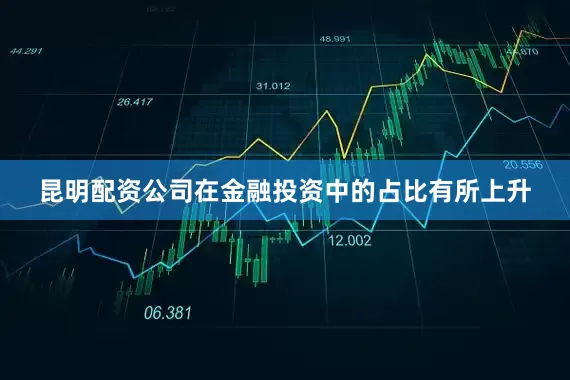 昆明配资公司在金融投资中的占比有所上升