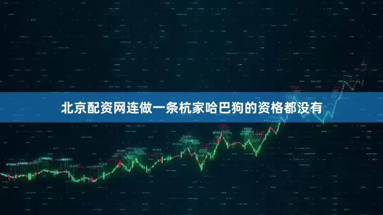 北京配资网连做一条杭家哈巴狗的资格都没有