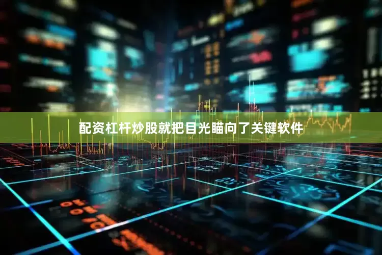 配资杠杆炒股就把目光瞄向了关键软件